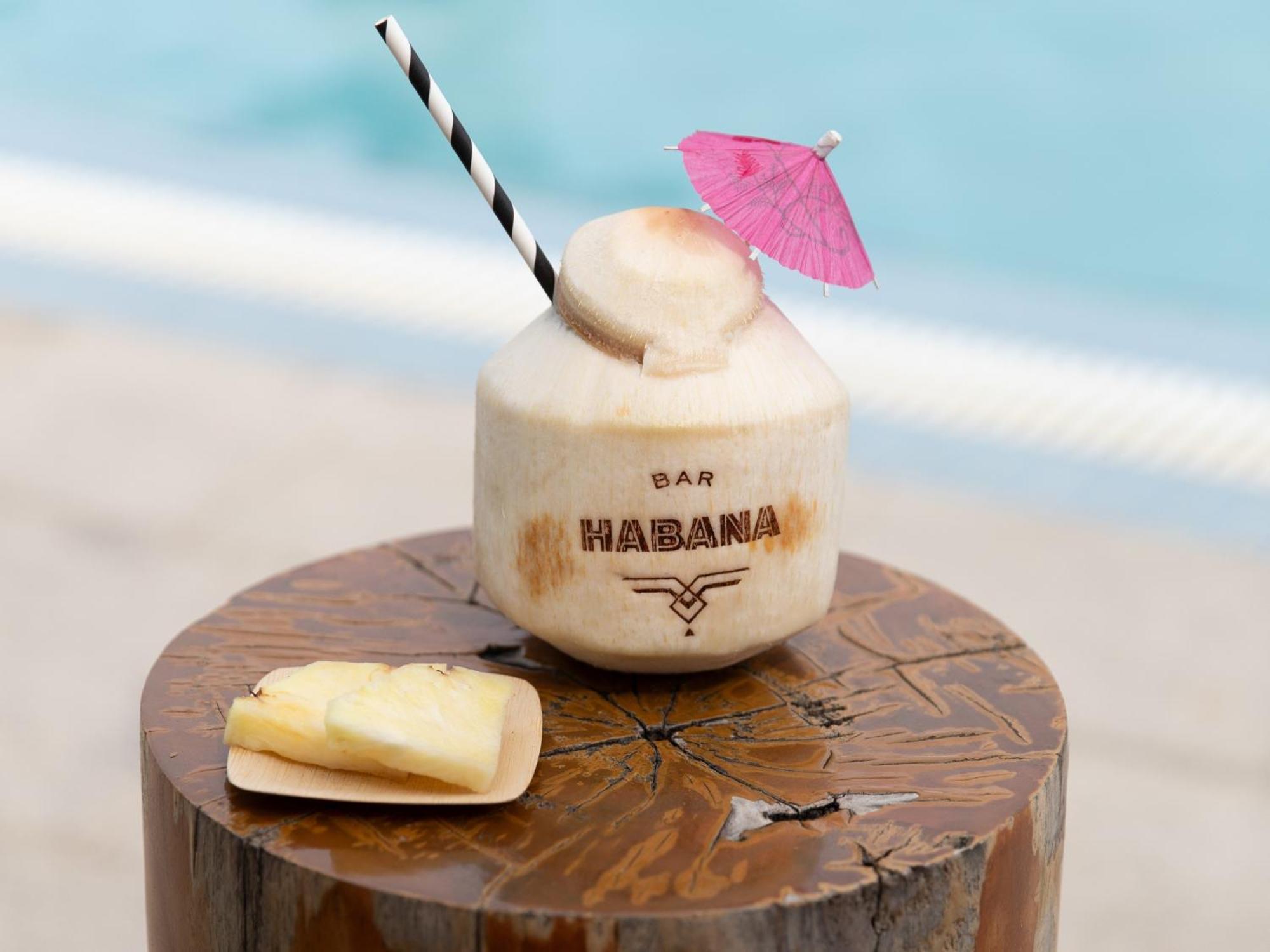 Kimpton Angler'S Hotel South Beach By Ihg Маямі-Біч Екстер'єр фото A coconut drink